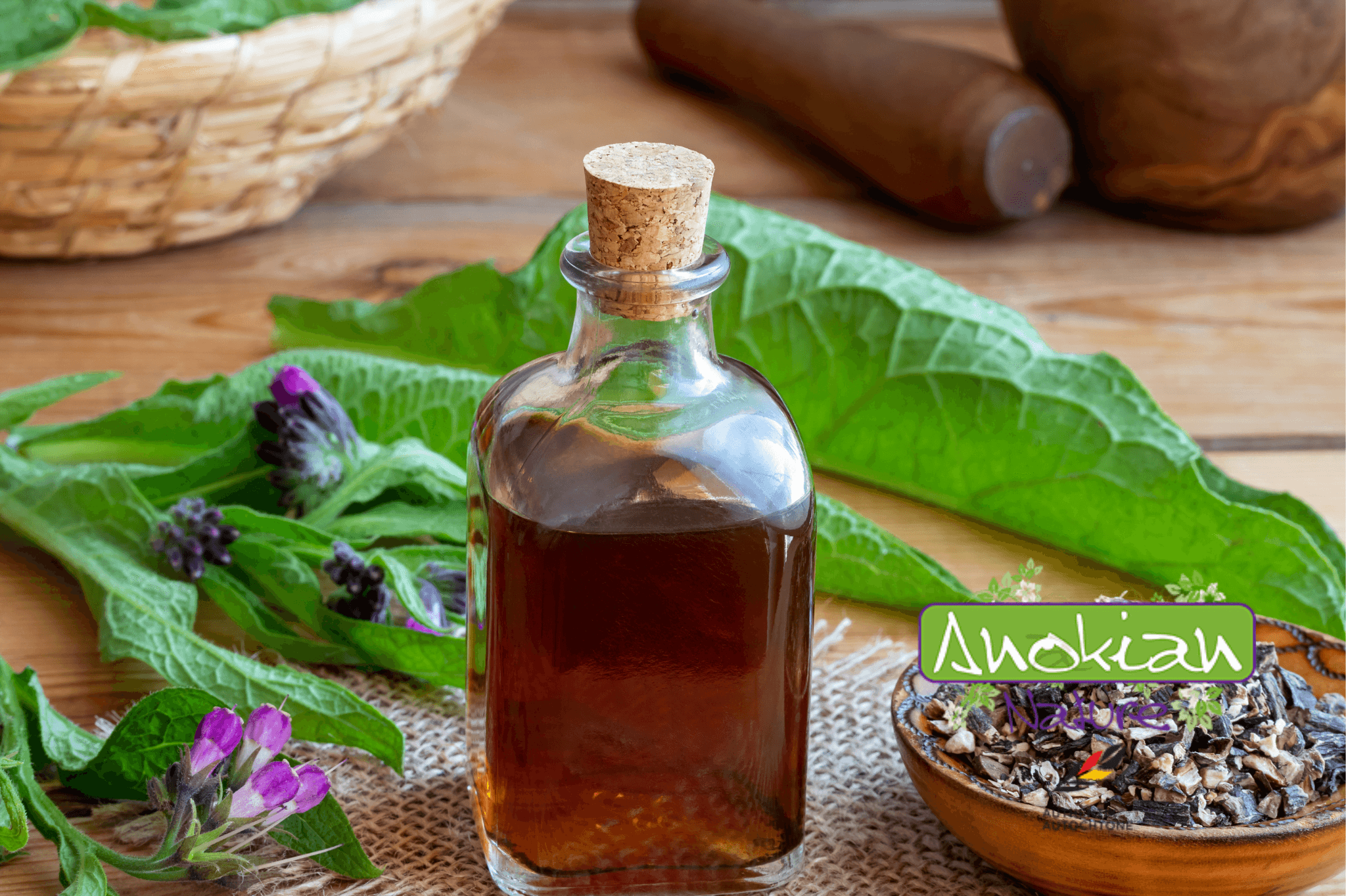 Root | Comfrey