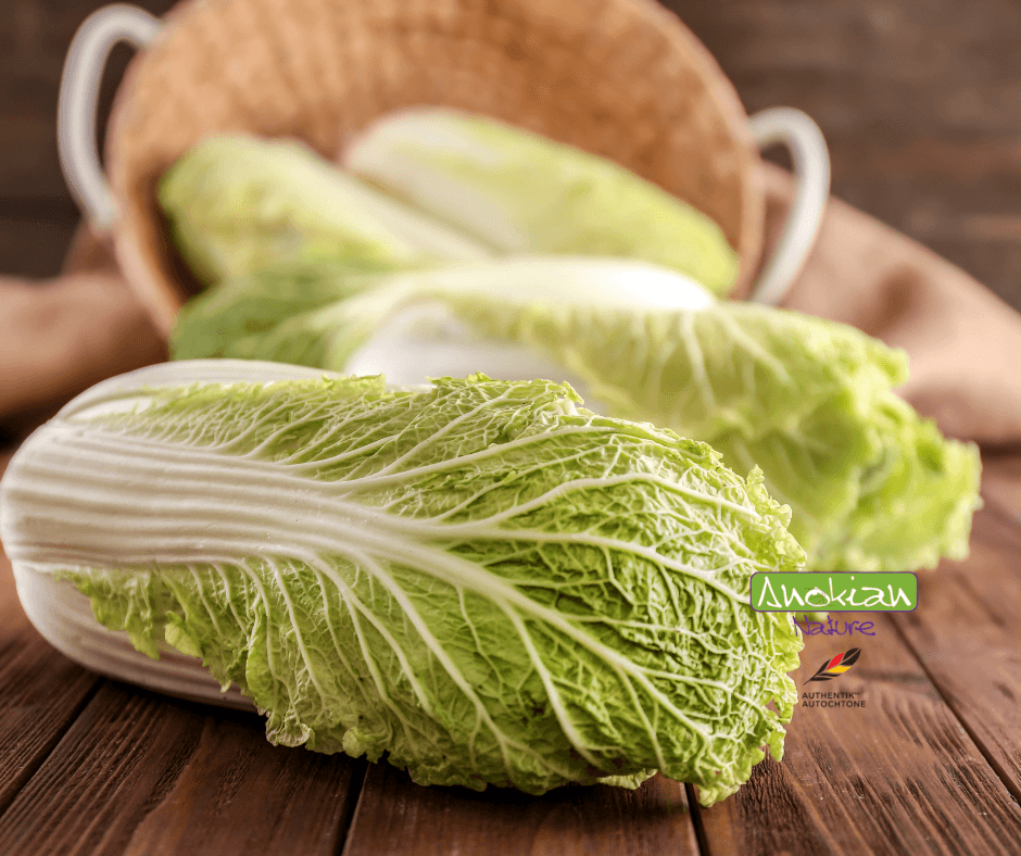 Seed | Kyoto Chinese Cabbage