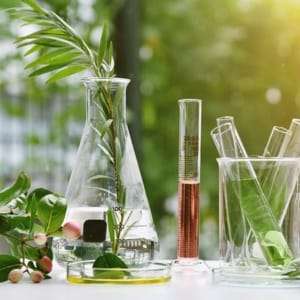 Extraits botaniques de plantes utilisés dans la fabrication de cosmétiques naturels au Québec. 🌿
