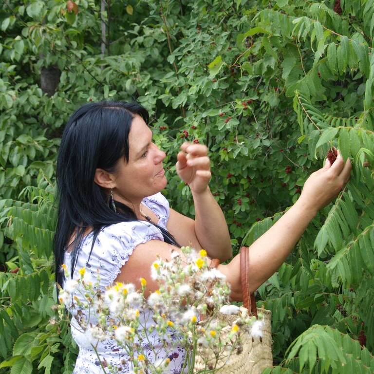 Cueillette à la main de plantes dans un jardin au Québec