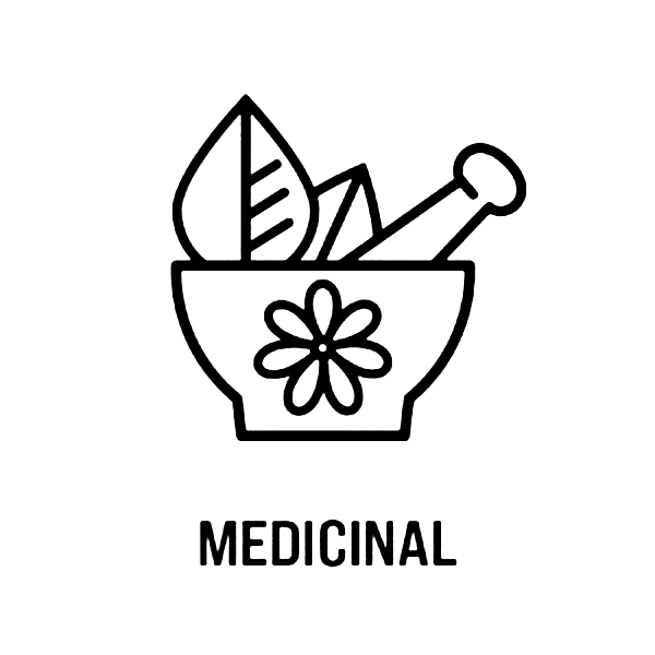 Medicinal icon (EN)