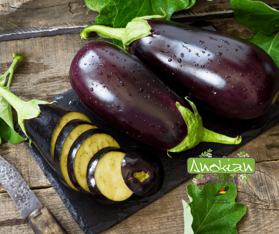 Semence | Aubergine Black and Beauty
