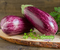 Seed | Eggplant Matrosik