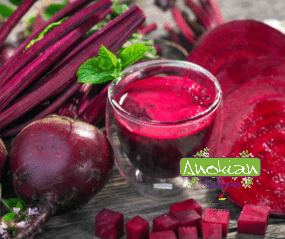 Seed | Bull's Blood Beet