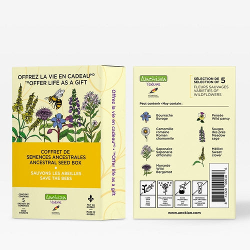 Coffret de semences de fleurs mellifères Sauvons les abeilles par Anokian Nature