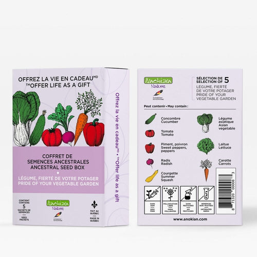 Coffret de semences potagères variétés ancestrales Anokian Nature