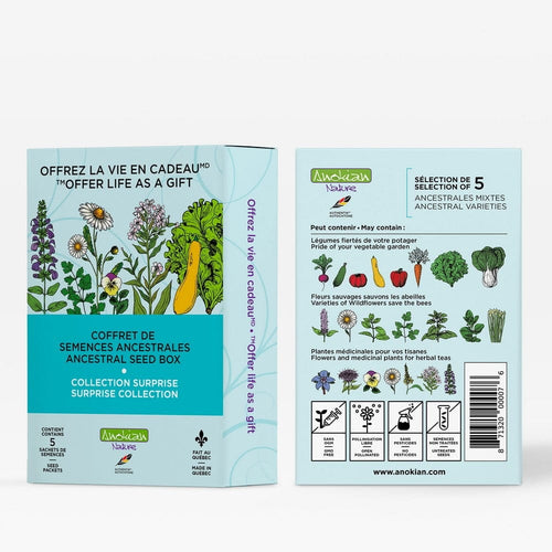 Coffret de semences surprise Anokian Nature avec variétés ancestrales