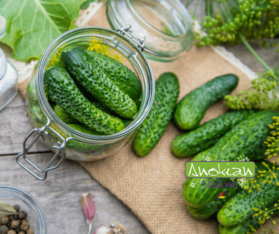 Seed | Improved Bourdonne Gherkin
