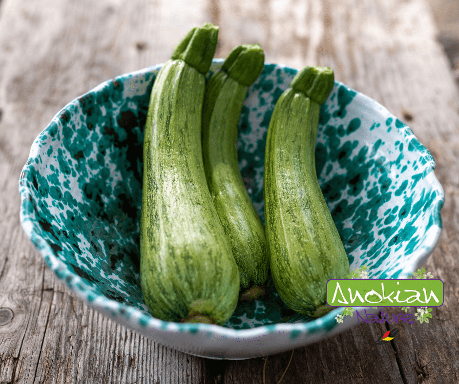Semence | Courgette Italienne Striée