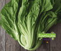 Seed | Chinese Big Leaf Mustard