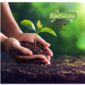 Sow to Nourish l Spring-Summer Planting Guide + 20 Seeds