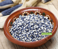 Seed | Blue Hopi Corn