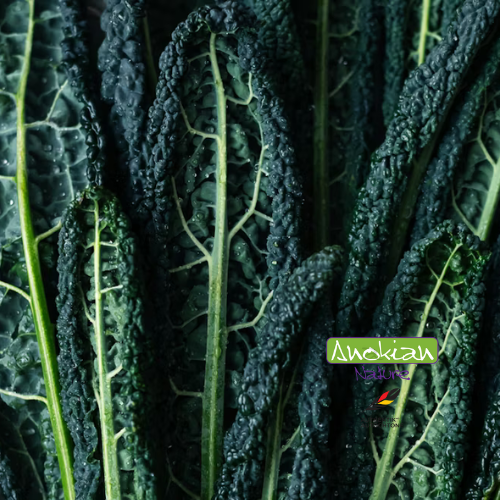 Semence |Kale Cavolo Nero Di Firenze