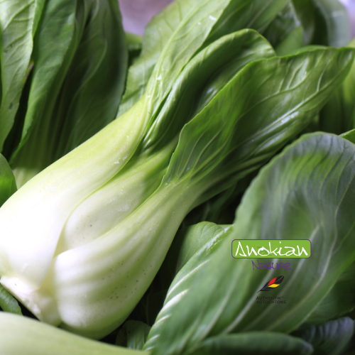 Seed | Pak Choi Bok Choi