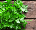 Seed | Italian Parsley