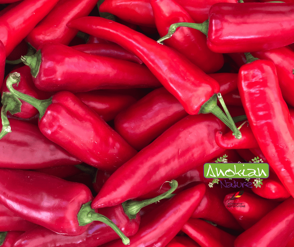 Seed | Hungarian Hot Wax Pepper