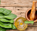 Seed | Greater Plantain