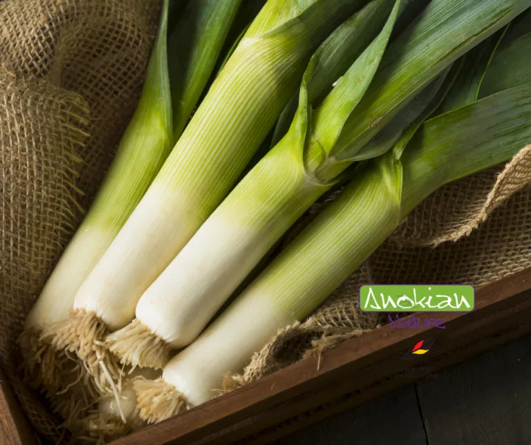 Seed | Carentan Monstrous Leek