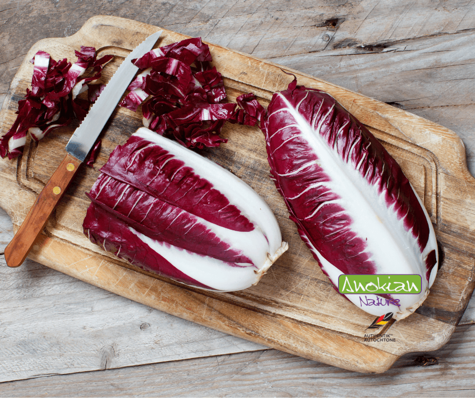 Seed | Rossa Di Verona Radicchio Chicory
