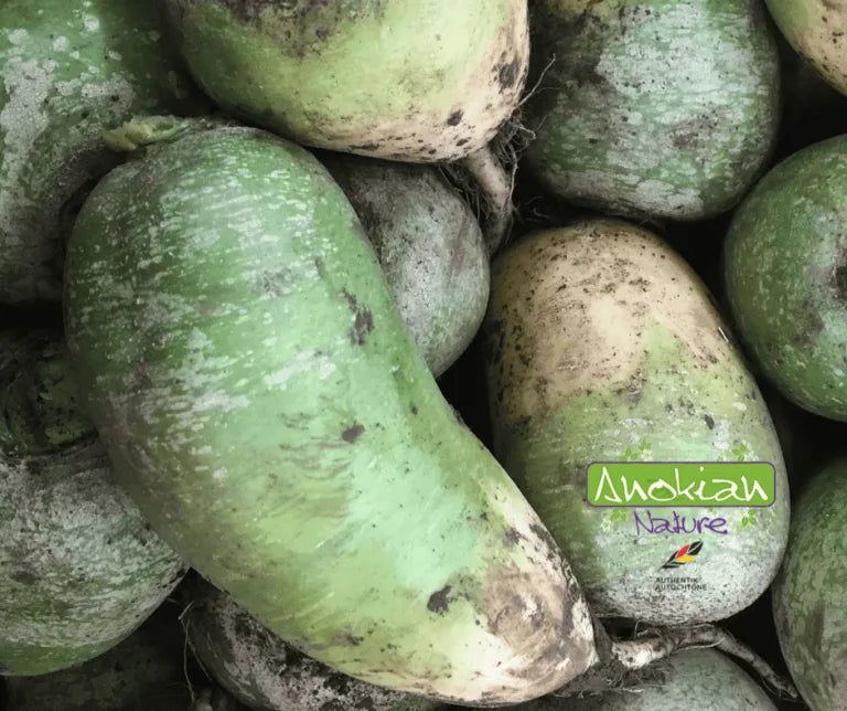 Seed | Green Radish from Quing Luobo