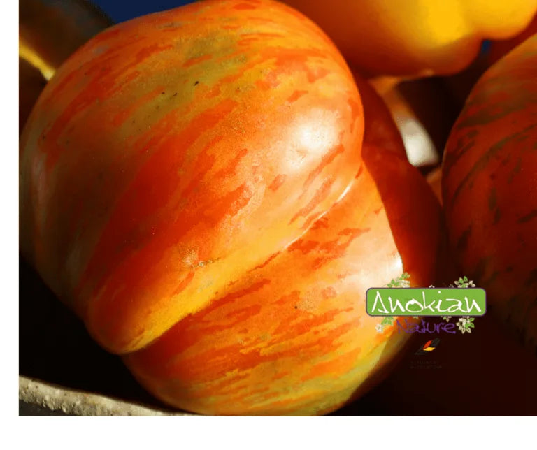 Seed | Solar Flare Tomato
