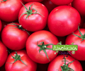 Semence de Tomate Framboise Vikonte
