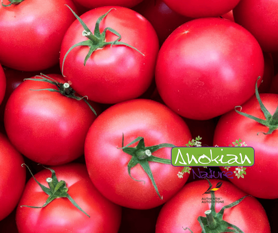 Semence de Tomate Framboise Vikonte
