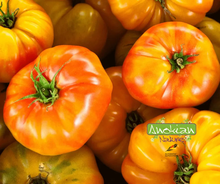 Seeds | Striped German Tomato