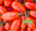 Seed | San Marzano Tomato